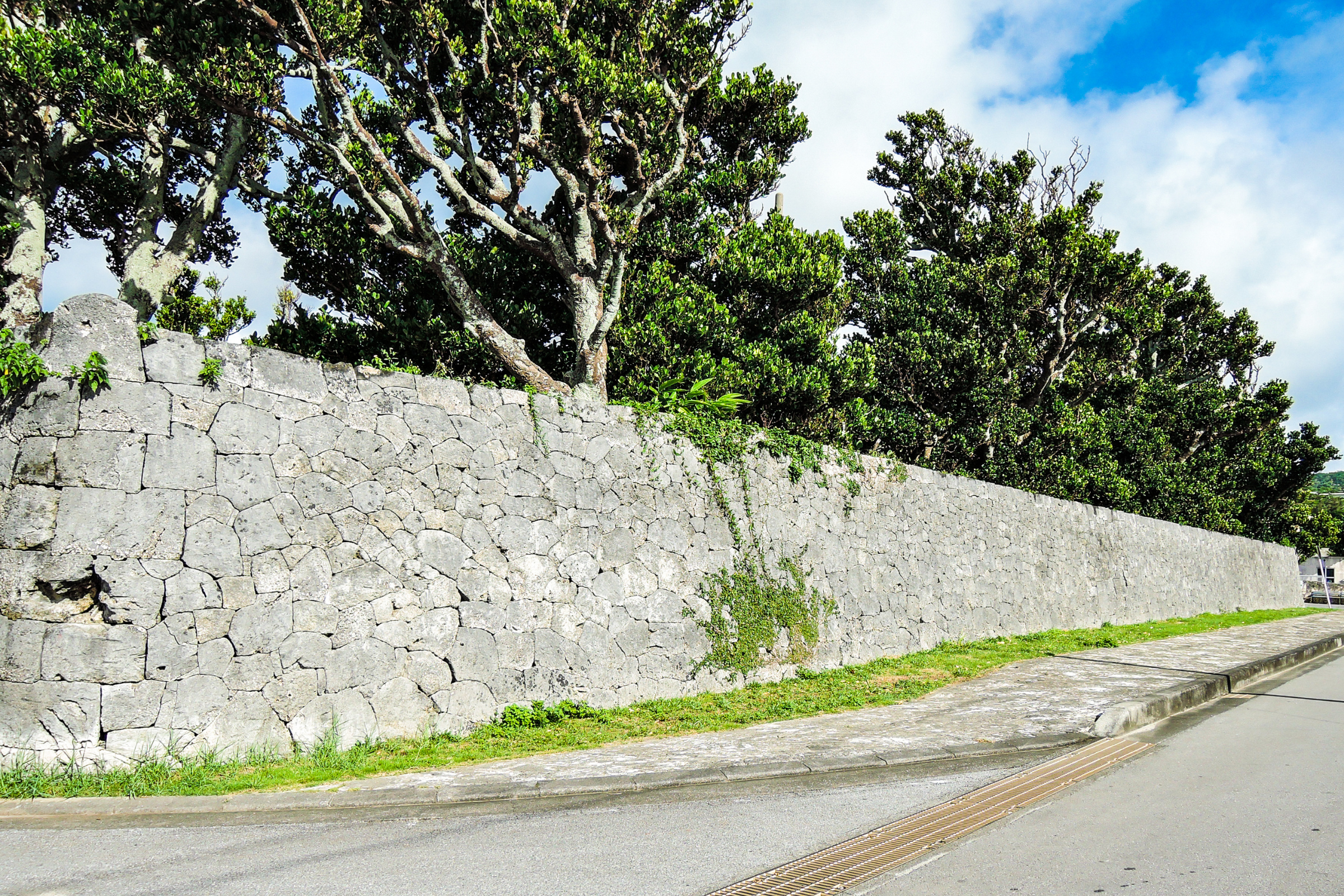 kumejima (3).webp